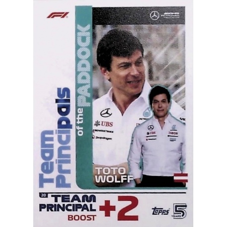 Toto Wolff F1 Team Mercedes 20