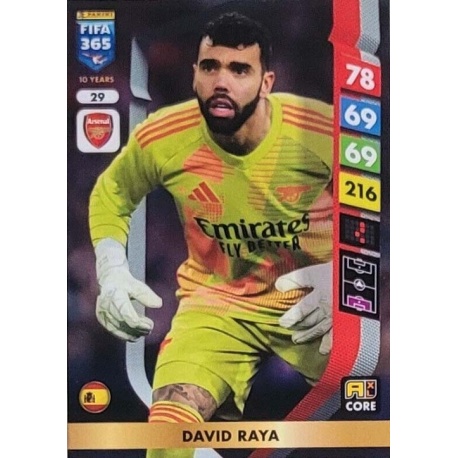 David Raya Arsenal 29