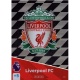 Team Badge Liverpool 208