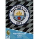 Team Badge Manchester City 226