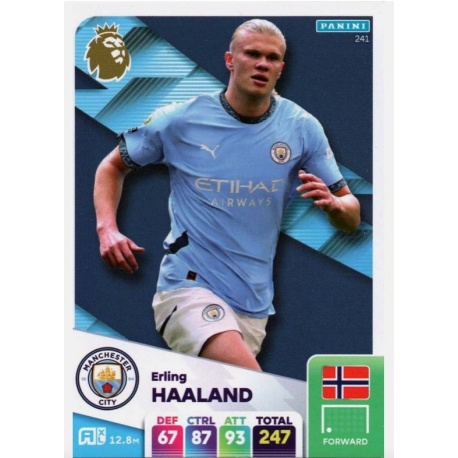 Erling Haaland Manchester City 241