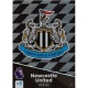 Team Badge Newcastle United 262