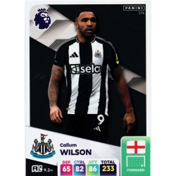 Callum Wilson Newcastle United 276