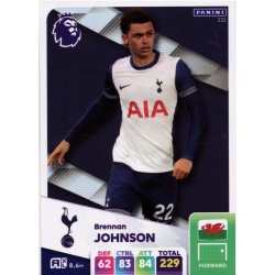 Brennan Johnson Tottenham Hotspur 332