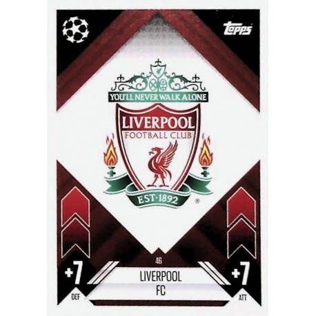 Team Badge Liverpool 46