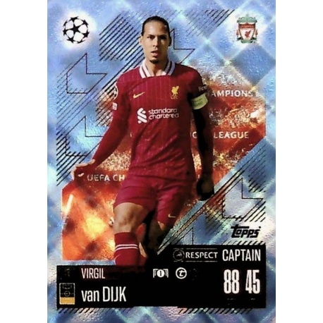 Virgil van Dijk Crystal Liverpool 48