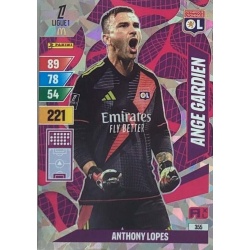 Anthony Lopes Ange Gardien Olympique Lyonnais 355