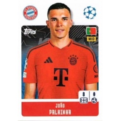 João Palhinha Bayern München 177