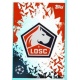 Club Badge LOSC Lille 479