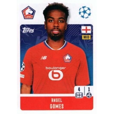 Angel Gomes LOSC Lille 487