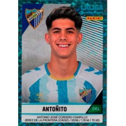 Antoñito Málaga 305