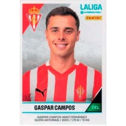 Gaspar campos Sporting 378