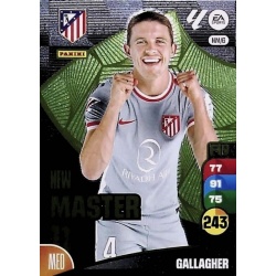 Gallagher New Master 11 NM6