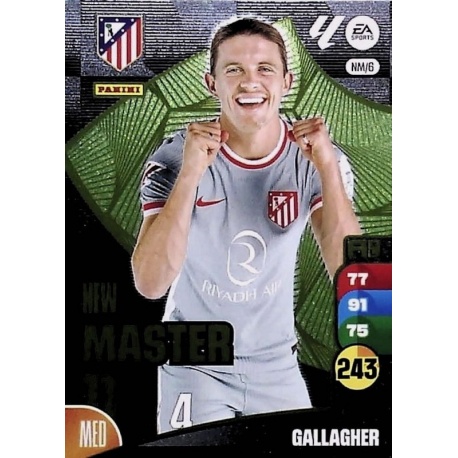 Gallagher New Master 11 NM6