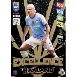 Erling Haaland Excellence Manchester City EXC49