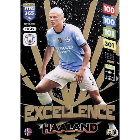 Erling Haaland Excellence Manchester City EXC49