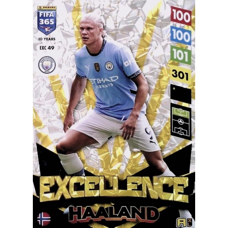 Erling Haaland Excellence XXL Manchester City EXC49