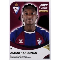 Amani Kakaouman SD Eibar 133