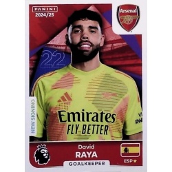 David Raya Arsenal 53