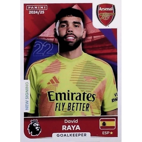 David Raya Arsenal 53