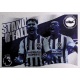 Flag Brighton & Hove Albion 144