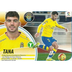 Tana Las Palmas 14 Ediciones Este 2016-17