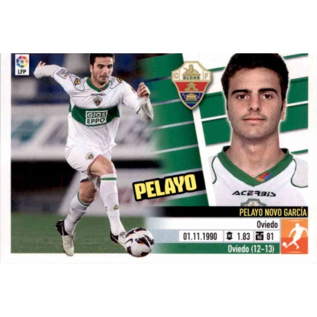 Pelayo Elche 10 Ediciones Este 2013-14