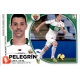 Pelegrin Elche 6 Ediciones Este 2014-15