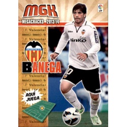 Banega Valencia 316 Megacracks 2013-14