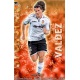 Valdez Superstar Valencia 78 Las Fichas de la Liga 2013 Official Quiz Game Collection