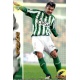 Dorado Betis 332 Las Fichas de la Liga 2013 Official Quiz Game Collection