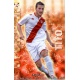 Tito Superstar Rayo Vallecano 401 Las Fichas de la Liga 2013 Official Quiz Game Collection