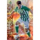 Agra Superstar Brillo Rayas Horizontales Betis 347 Las Fichas de la Liga 2013 Official Quiz Game Collection