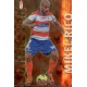 Mikel Rico Superstar Brillo Liso Granada 457 Las Fichas de la Liga 2013 Official Quiz Game Collection