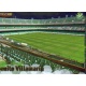 Benito Villamarin Brillo Liso Betis 326 Las Fichas de la Liga 2013 Official Quiz Game Collection