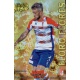 Floro Flores Gold Star Brillo Liso Granada 42 Las Fichas de la Liga 2013 Official Quiz Game Collection