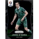 John O'Shea Ireland 226 Prizm Uefa Euro 2016 France