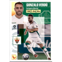 Gonzalo Verdú Elche 6