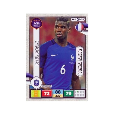 Paul Pogba France FRA08