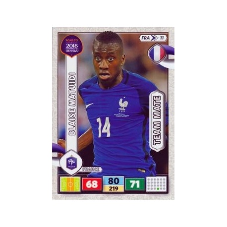 Blaise Matuidi France FRA11