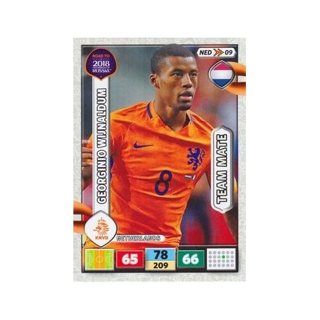 Georginio Wijnaldum Netherlands NED09