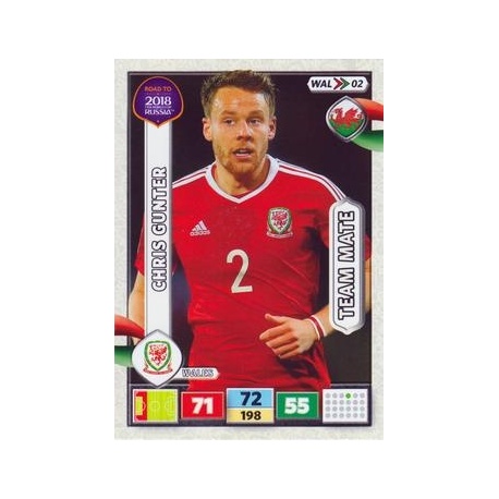 Chris Gunter Wales WAL02