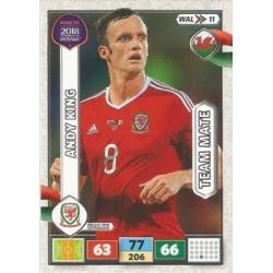 Andy King Wales WAL11