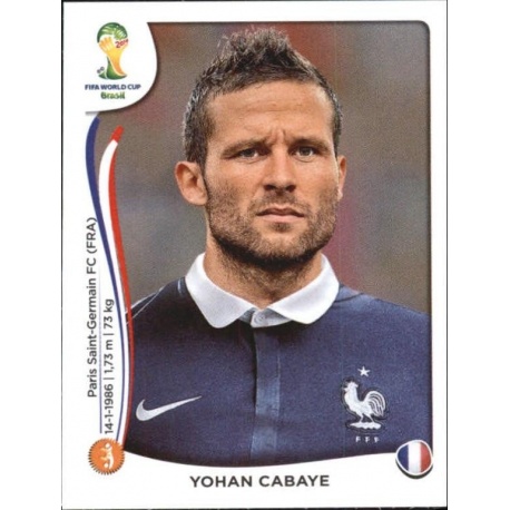 Yohan Cabaye France 384