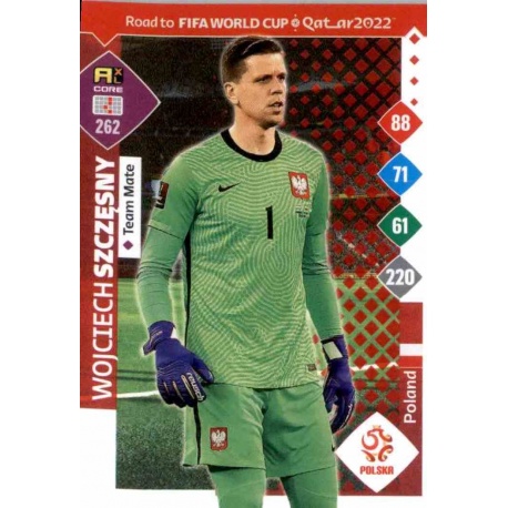 Wojciech Szczęsny Poland 262