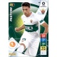 Pastore Elche 141