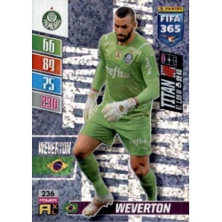 Weverton Titan Palmeiras 236