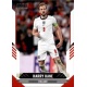 Harry Kane England 75