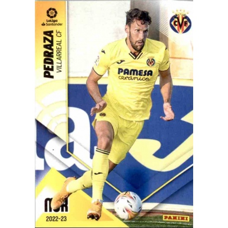 Pedraza Villarreal 363