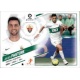 Pastore Elche 14